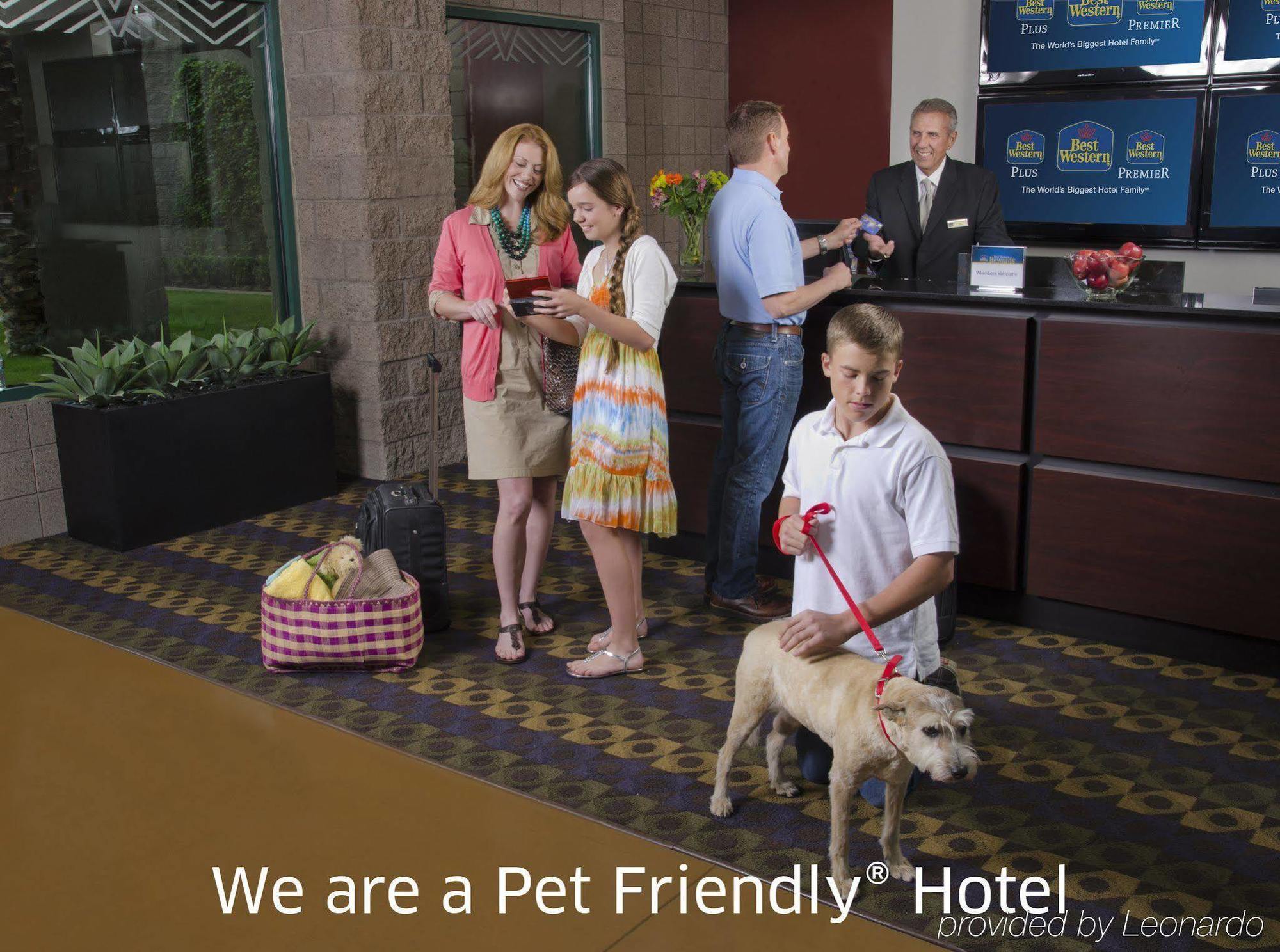 Best Western Plains Motel Уолл Экстерьер фото